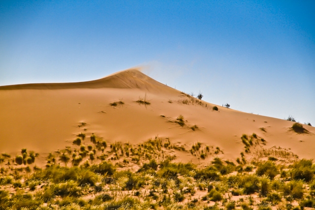 Green Desert, Namibia